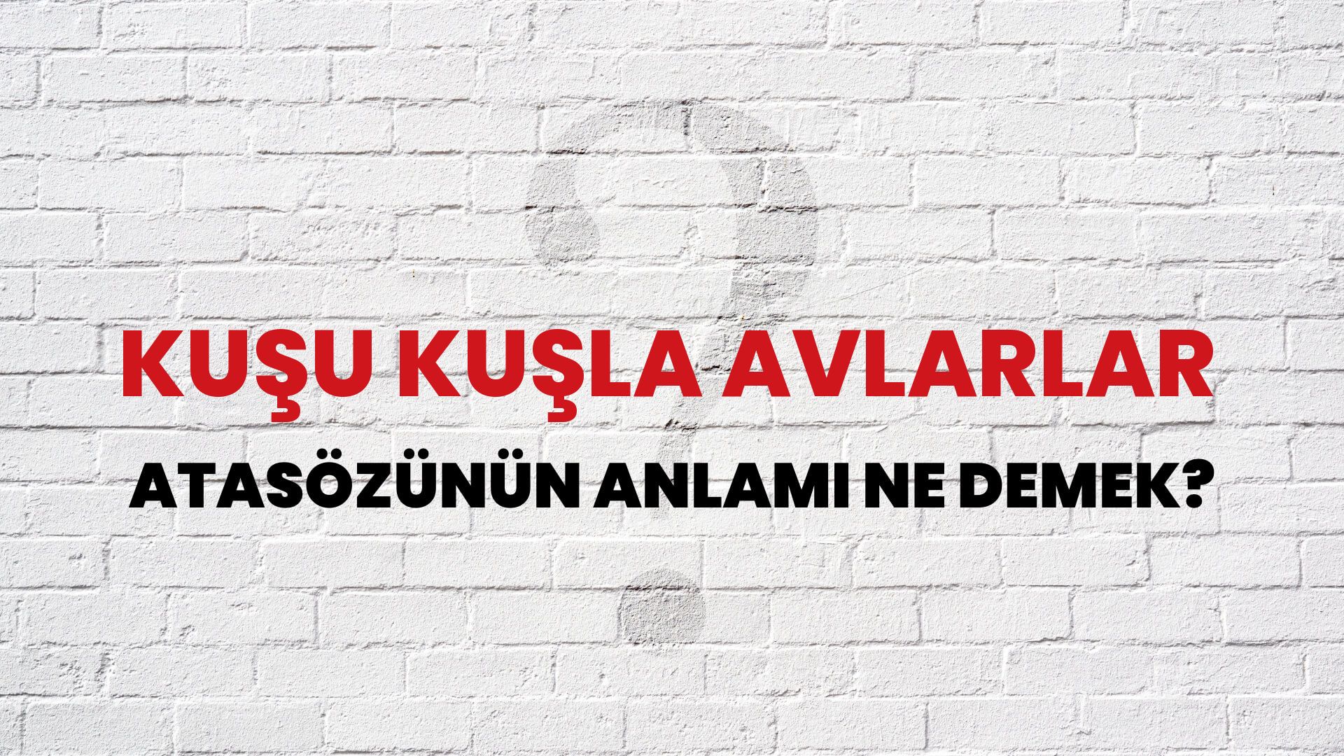 Kuşu kuşla avlarlar Atasözünün Anlamı Ne Demek?