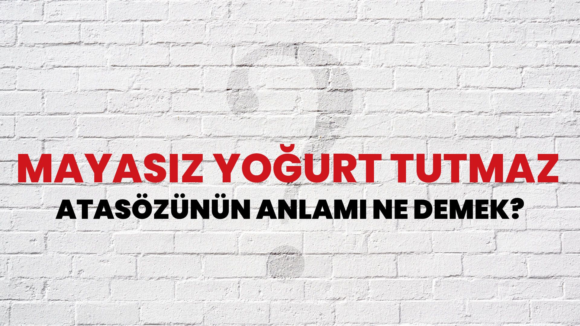 Mayasız yoğurt tutmaz Atasözünün Anlamı Ne Demek?