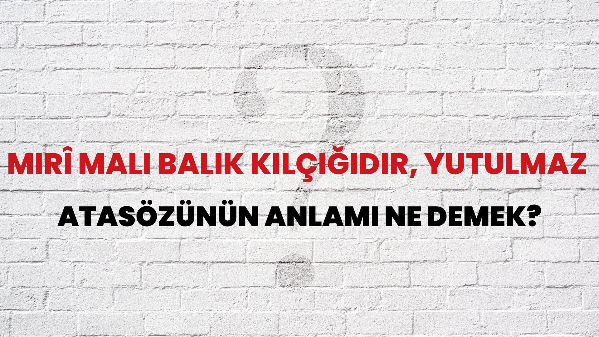 Mirî malı balık kılçığıdır, yutulmaz Atasözünün Anlamı Ne Demek?
