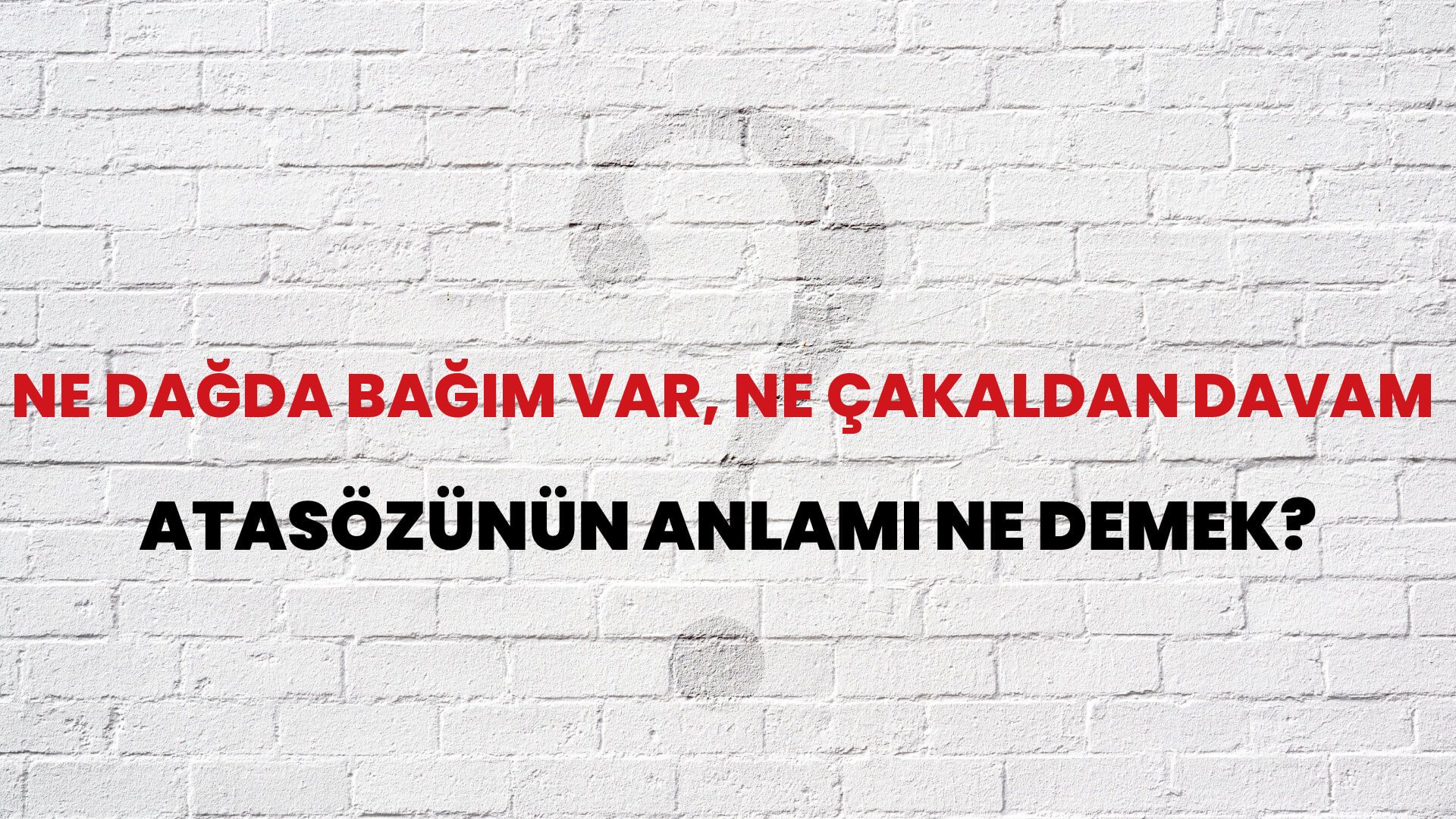 Ne dağda bağım var, ne çakaldan davam Atasözünün Anlamı Ne Demek?
