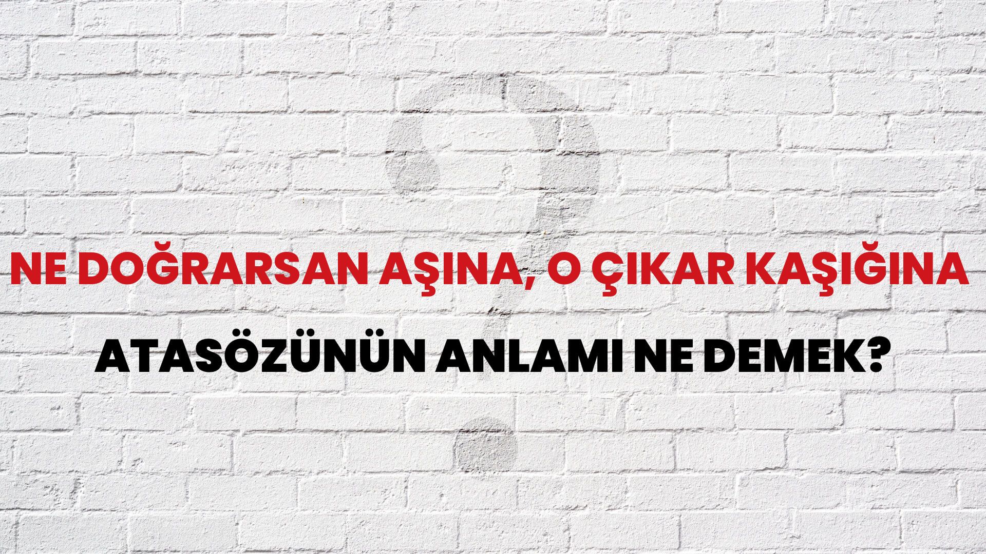 Ne doğrarsan aşına, o çıkar kaşığına Atasözünün Anlamı Ne Demek?