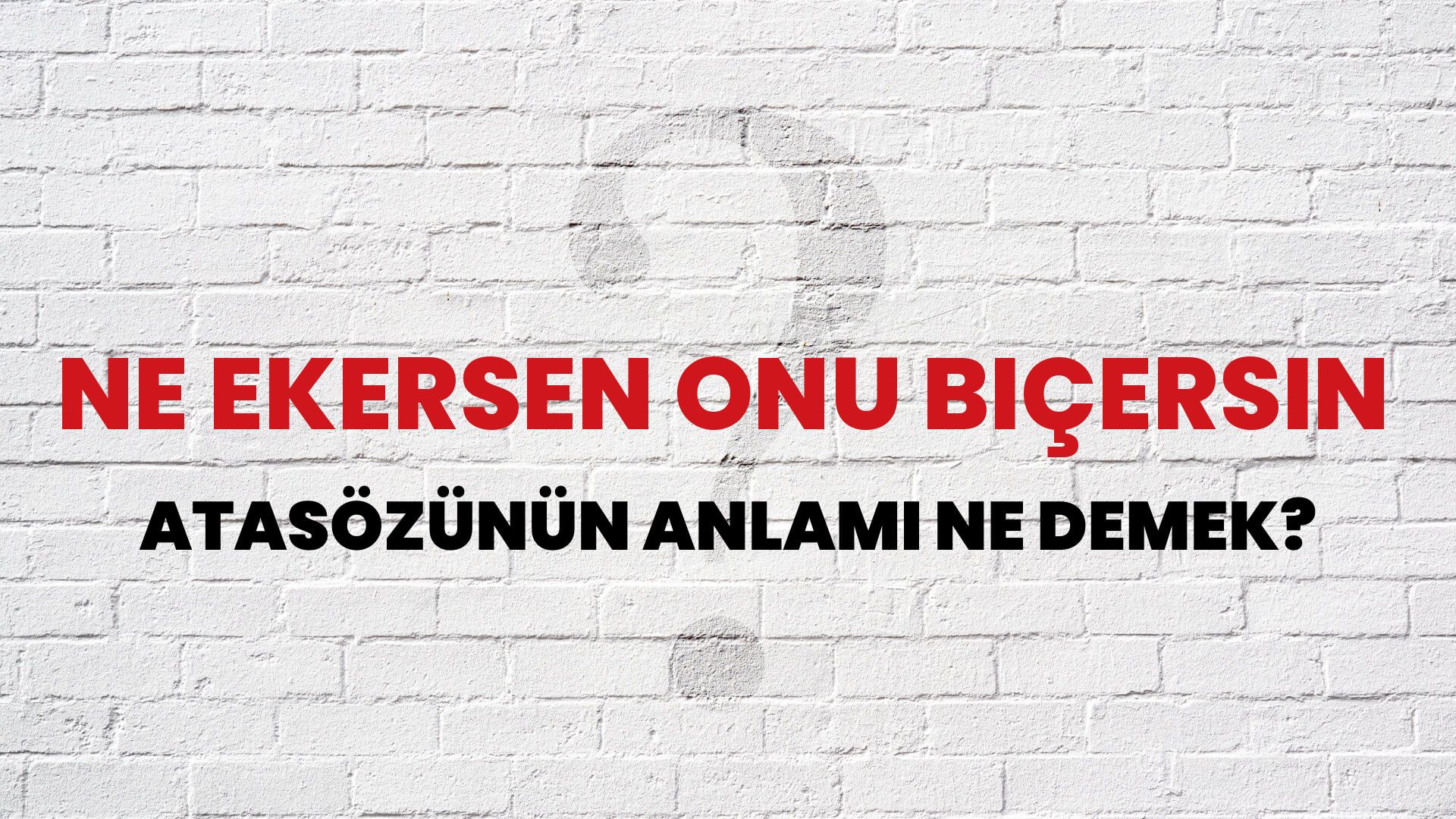 Ne ekersen onu biçersin Atasözünün Anlamı Ne Demek?