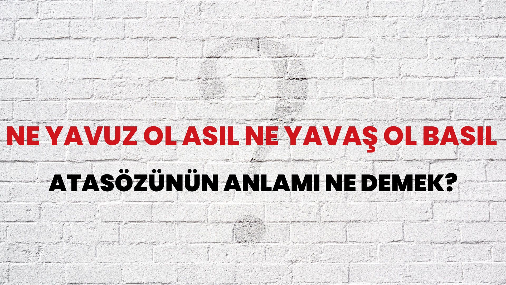 Ne yavuz ol asıl ne yavaş ol basıl Atasözünün Anlamı Ne Demek?