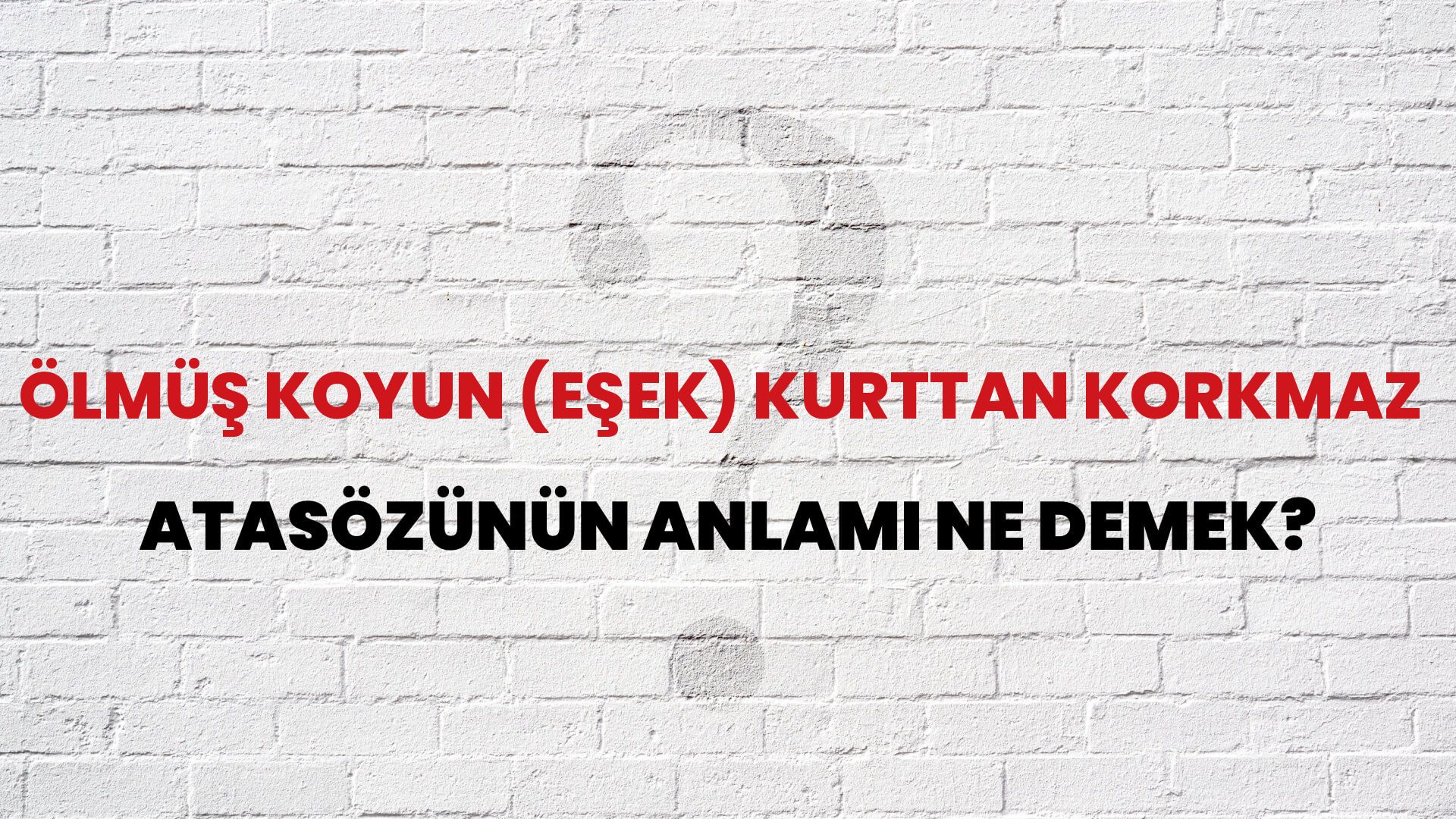 Ölmüş koyun (eşek) kurttan korkmaz Atasözünün Anlamı Ne Demek?
