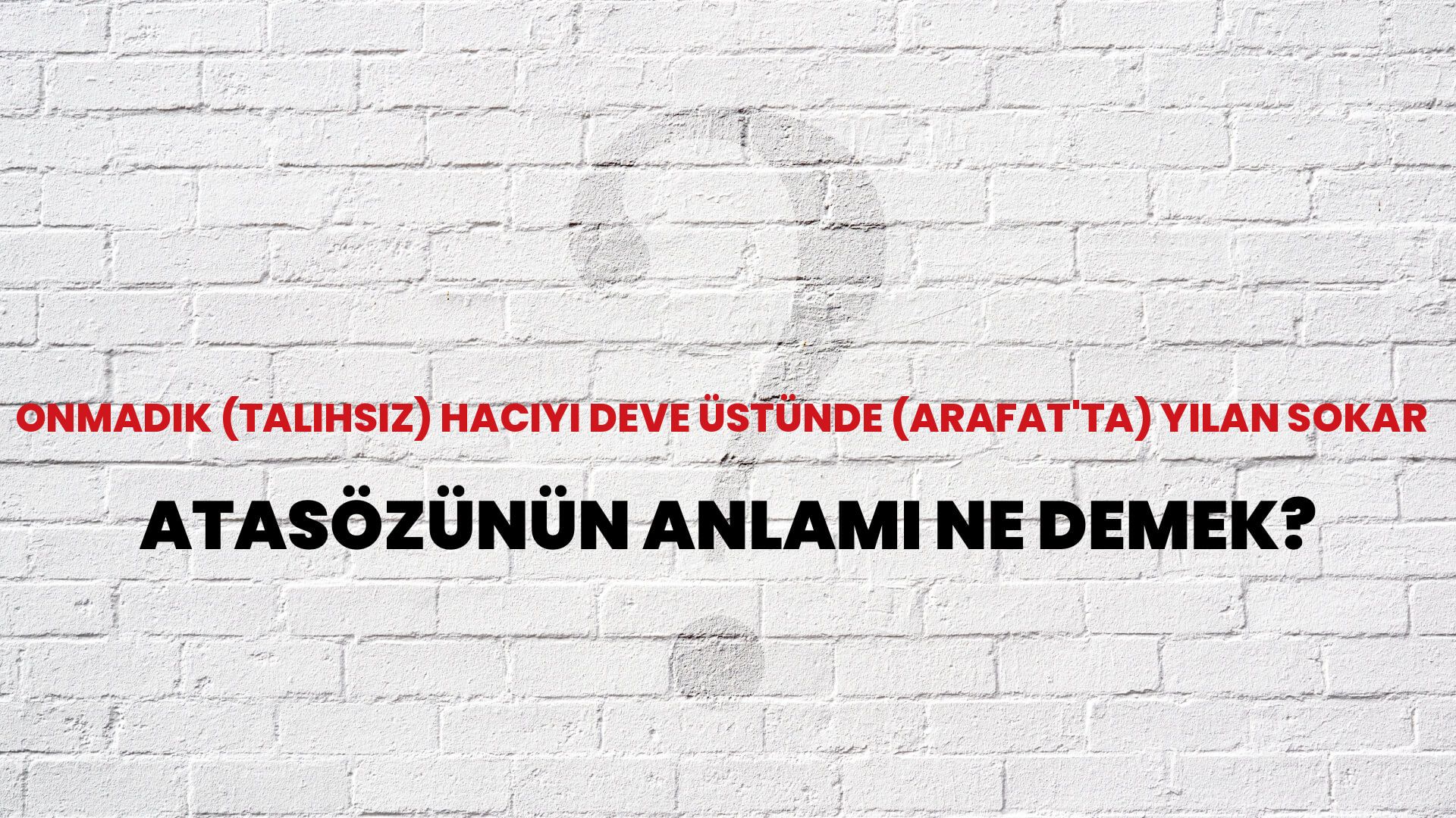 Onmadık (talihsiz) hacıyı deve üstünde (Arafat'ta) yılan sokar Atasözünün Anlamı Ne Demek?