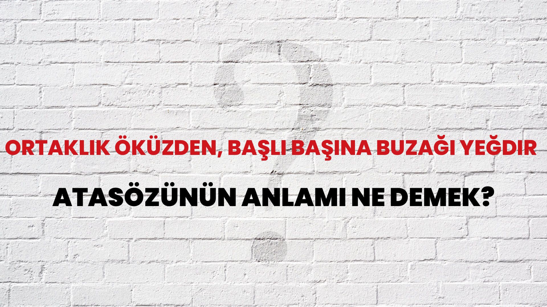 Ortaklık öküzden, başlı başına buzağı yeğdir Atasözünün Anlamı Ne Demek?