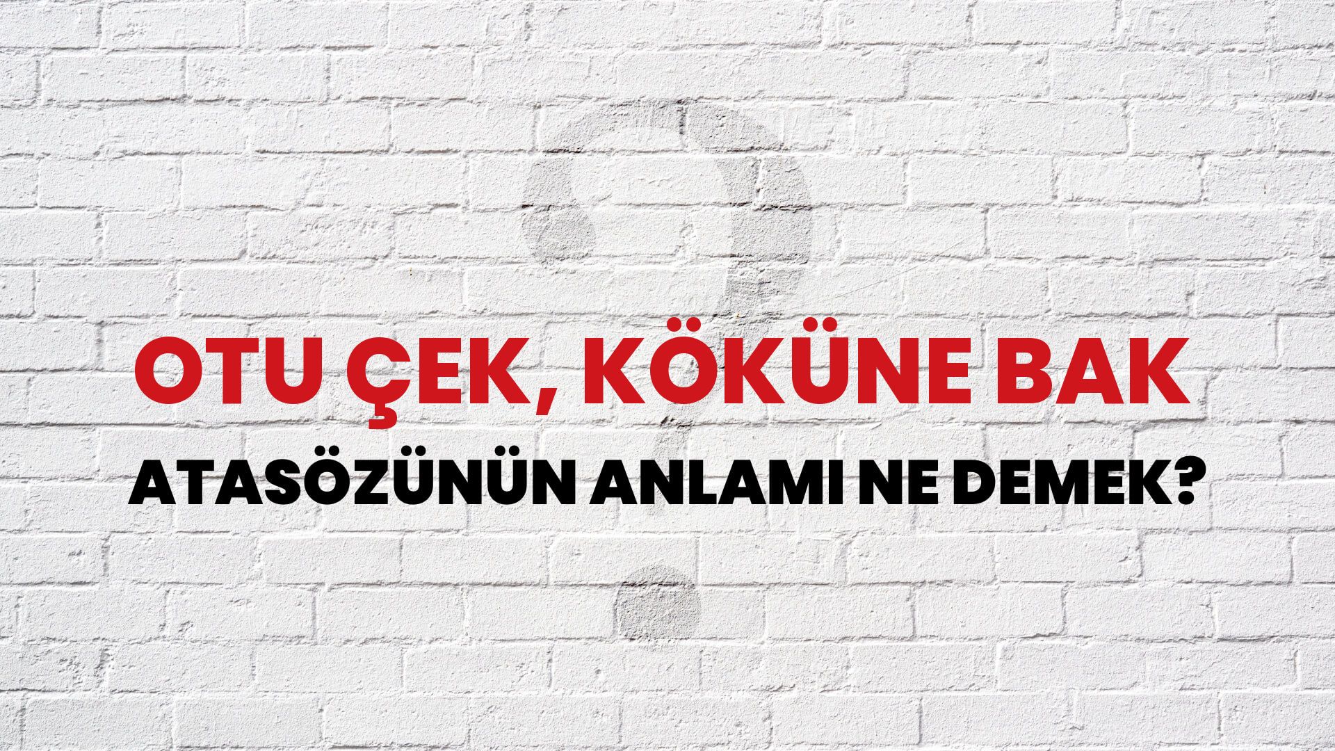 Otu çek, köküne bak Atasözünün Anlamı Ne Demek?