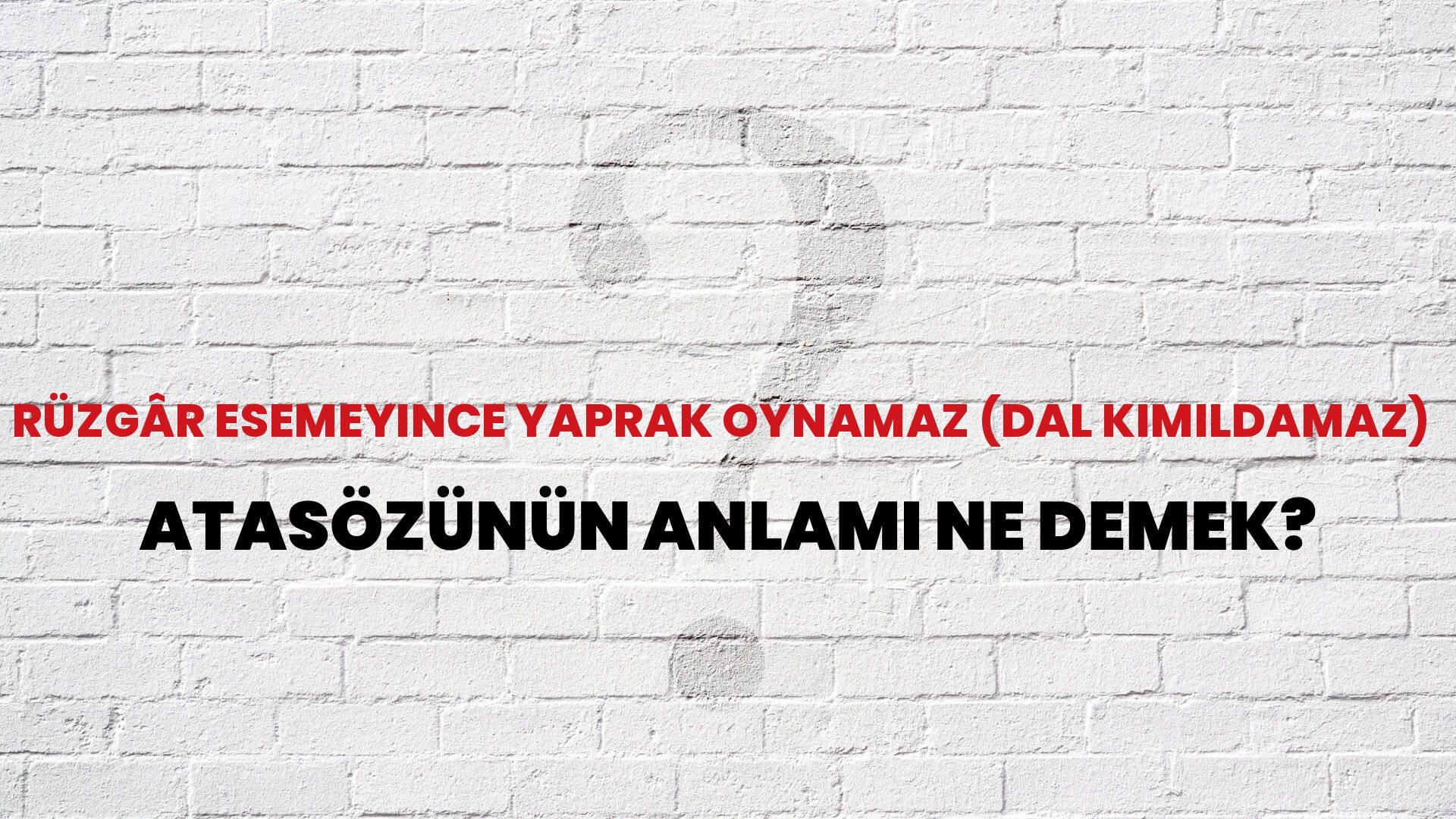Rüzgâr esemeyince yaprak oynamaz (dal kımıldamaz) Atasözünün Anlamı Ne Demek?
