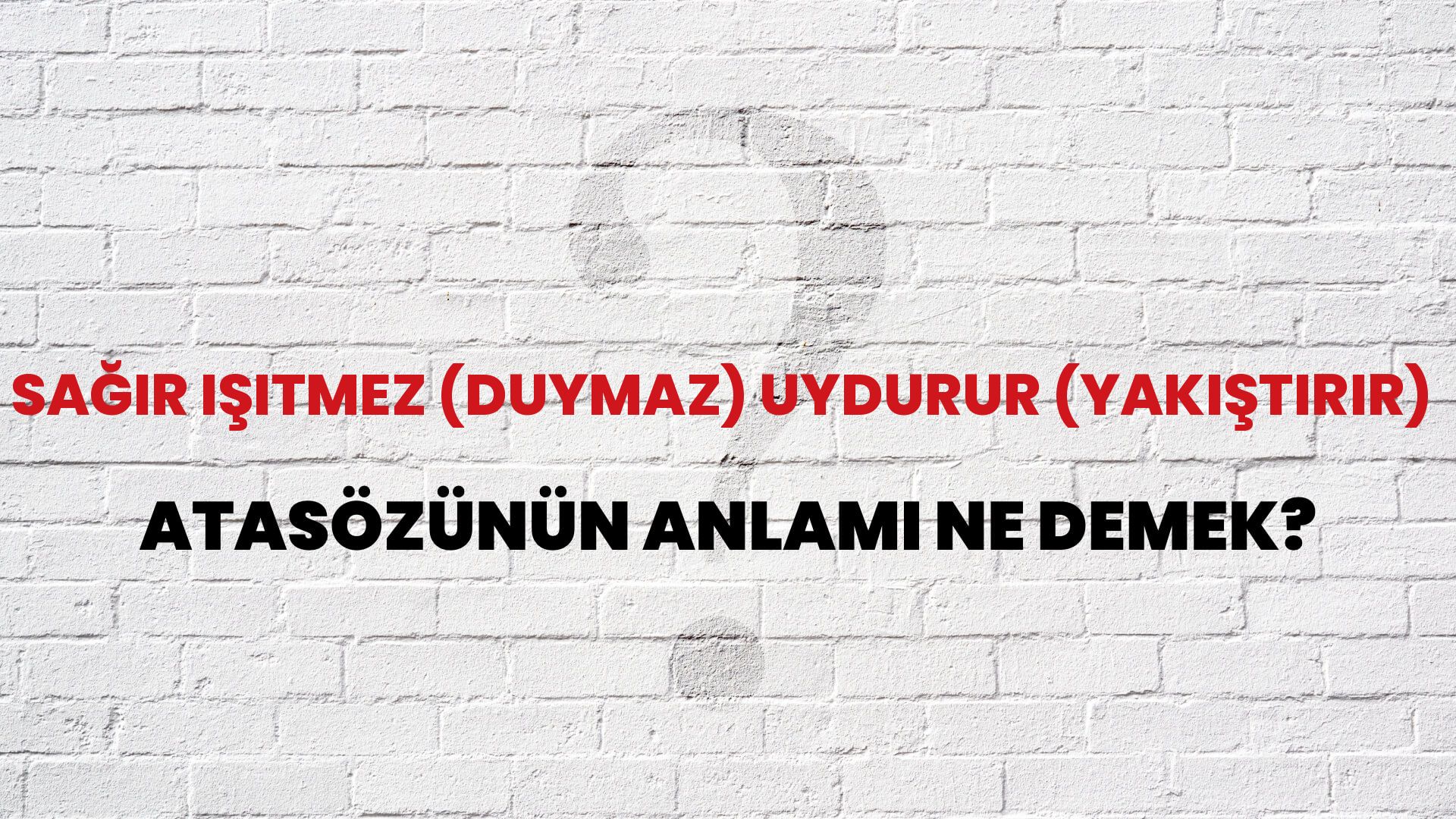 Sağır işitmez (duymaz) uydurur (yakıştırır) Atasözünün Anlamı Ne Demek?