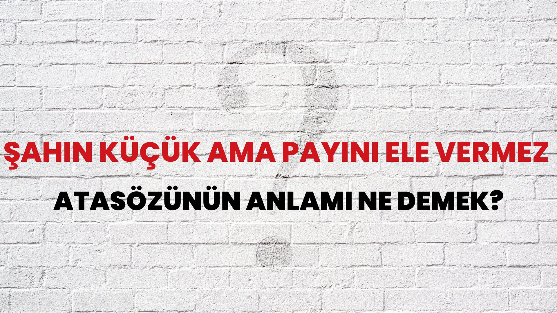 Şahin küçük ama payını ele vermez Atasözünün Anlamı Ne Demek?