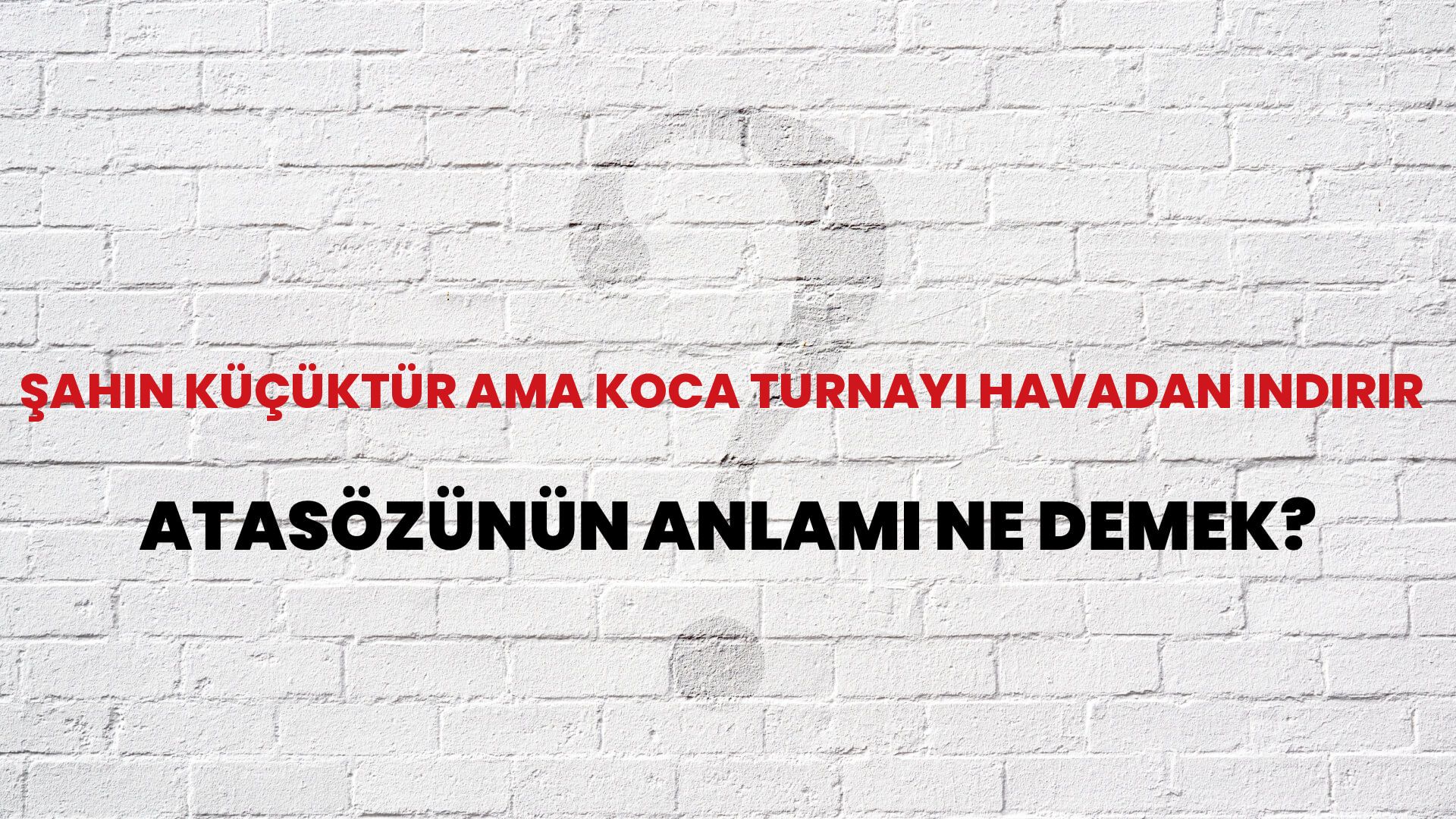 Şahin küçüktür ama koca turnayı havadan indirir Atasözünün Anlamı Ne Demek?