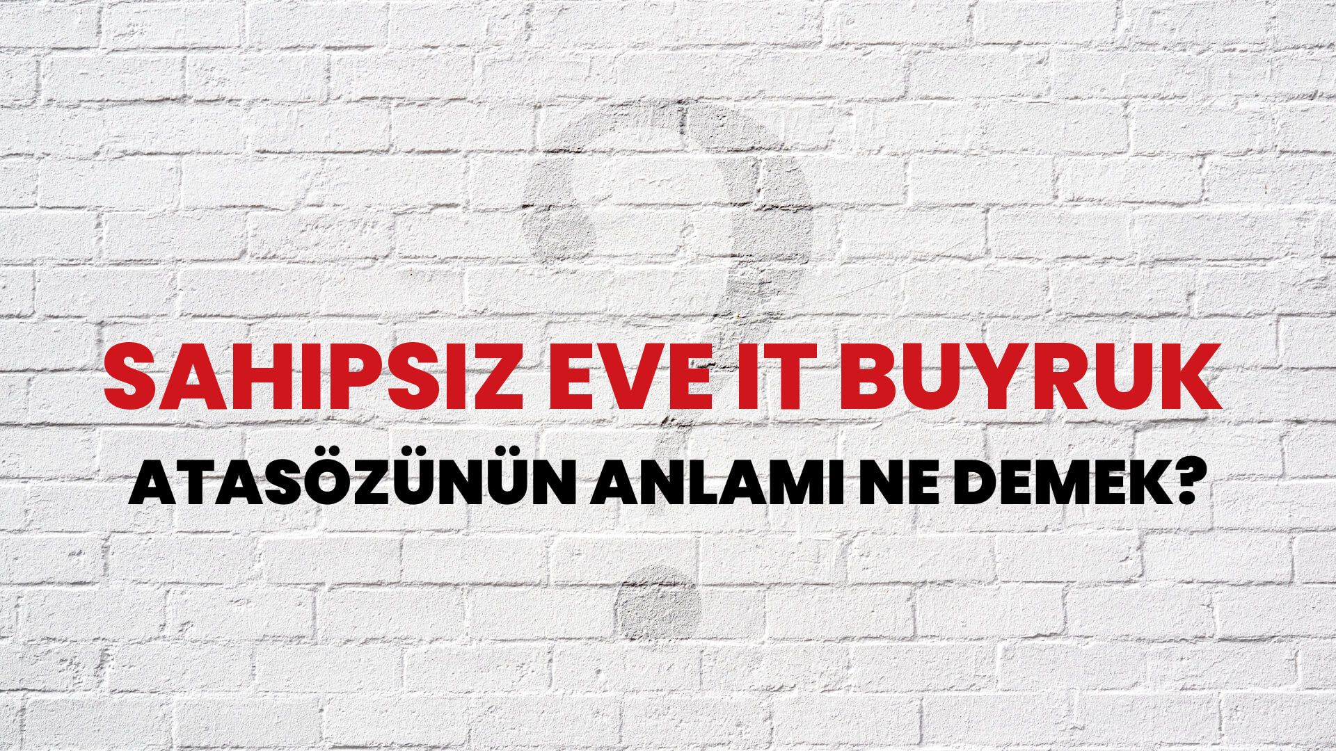 Sahipsiz eve it buyruk Atasözünün Anlamı Ne Demek?