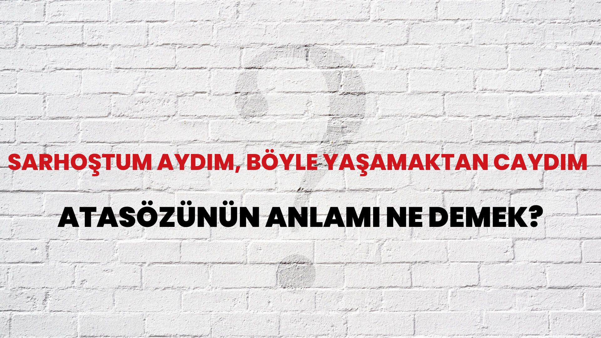 Sarhoştum aydım, böyle yaşamaktan caydım Atasözünün Anlamı Ne Demek?