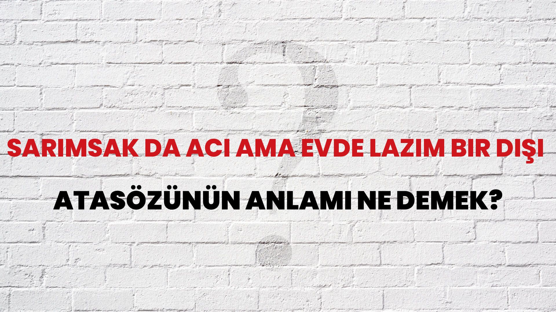 Sarımsak da acı ama evde lazım bir dişi Atasözünün Anlamı Ne Demek?