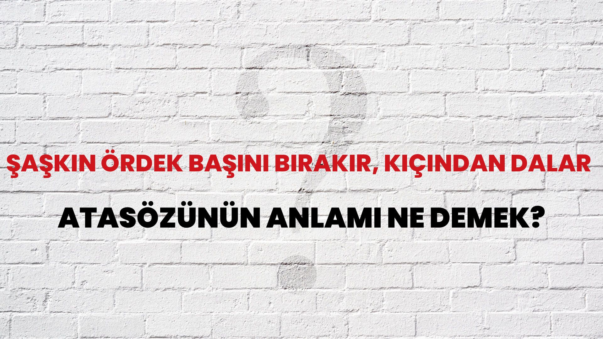 Şaşkın ördek başını bırakır, kıçından dalar Atasözünün Anlamı Ne Demek?