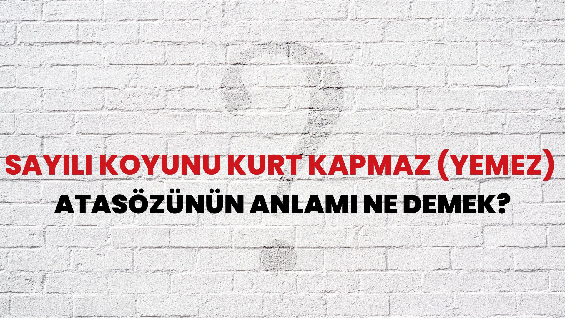 Sayılı koyunu kurt kapmaz (yemez) Atasözünün Anlamı Ne Demek?