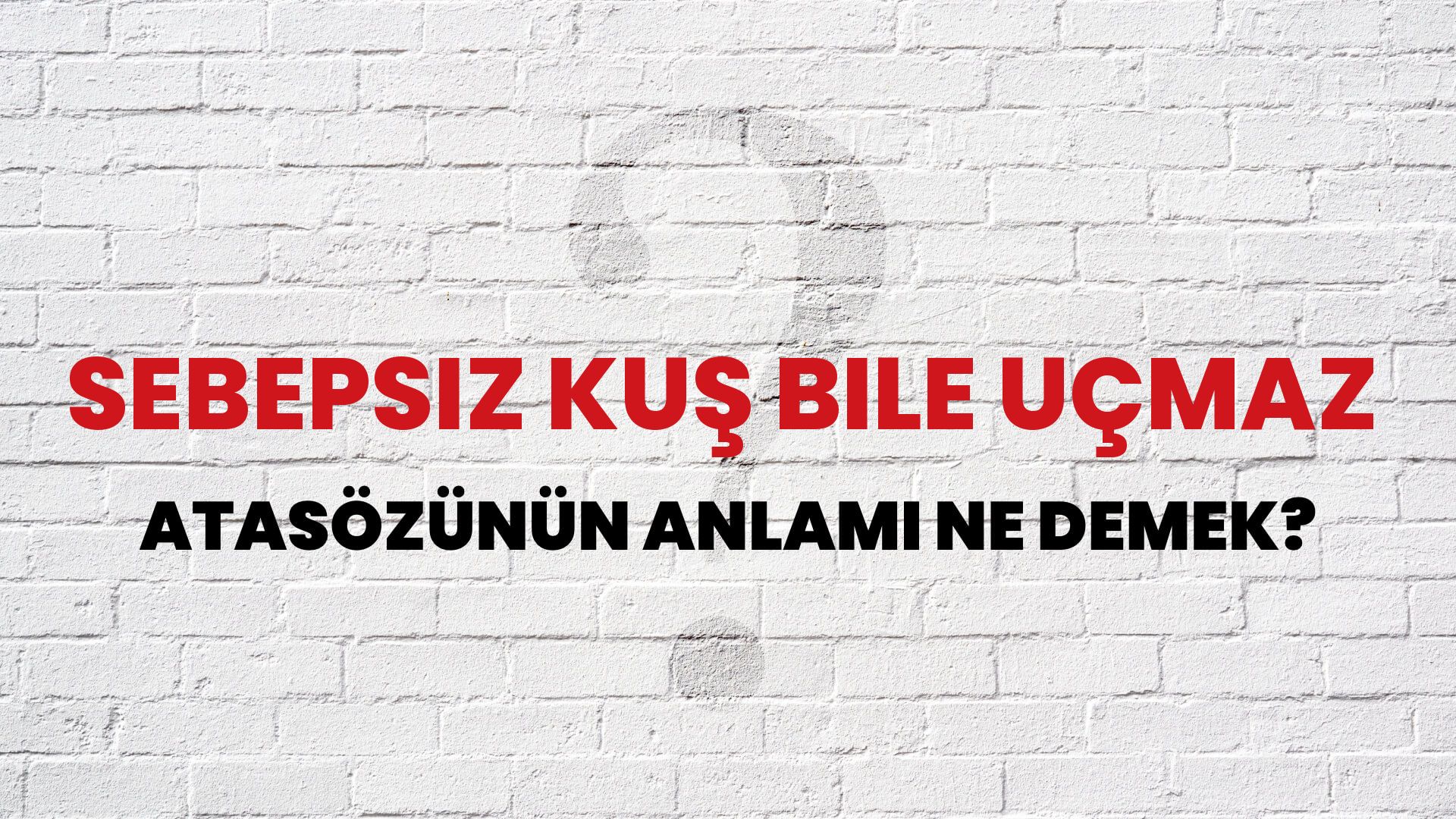 Sebepsiz kuş bile uçmaz Atasözünün Anlamı Ne Demek?