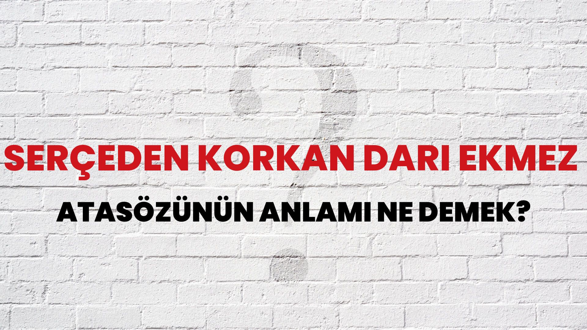 Serçeden korkan darı ekmez Atasözünün Anlamı Ne Demek?