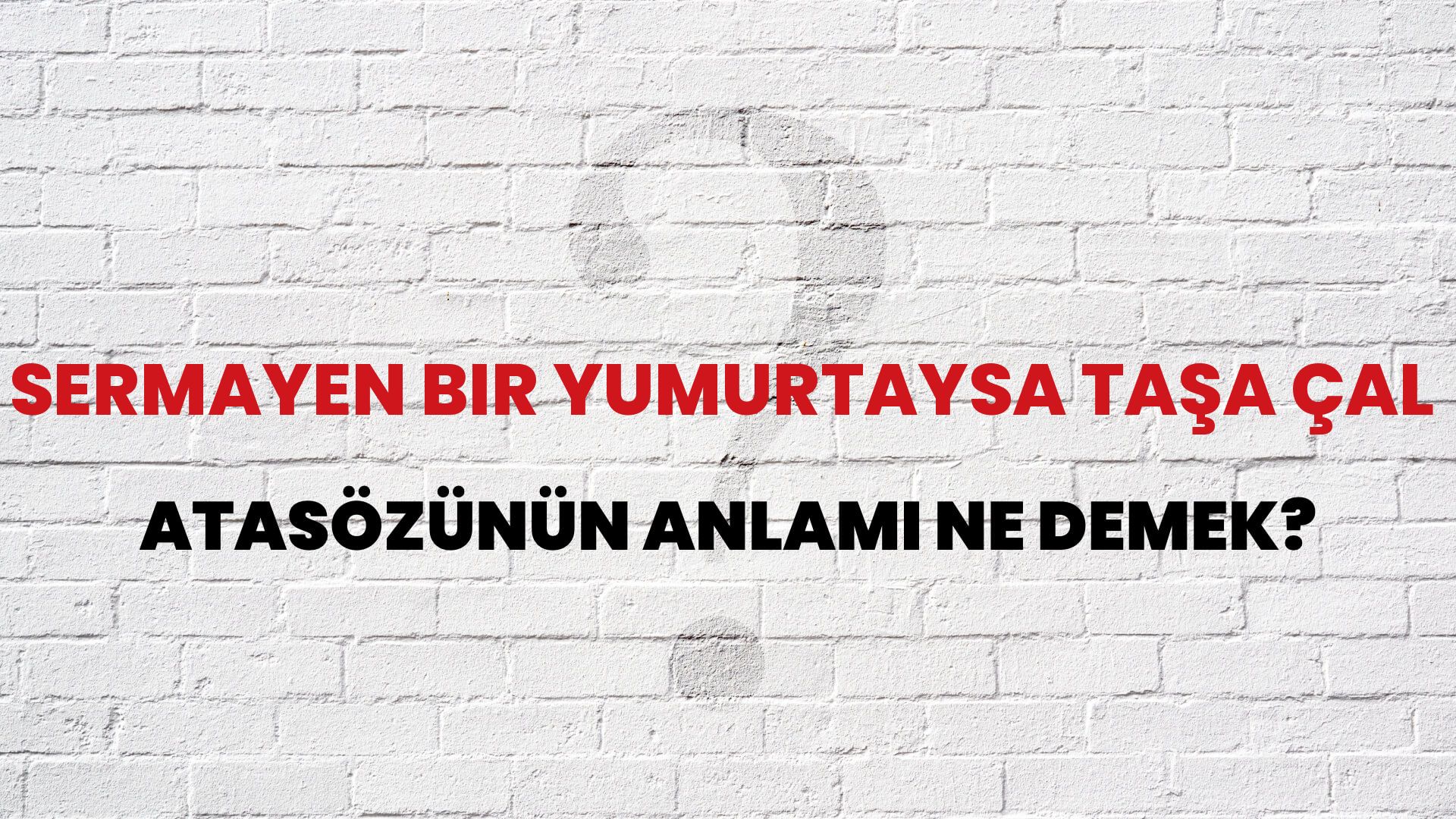 Sermayen bir yumurtaysa taşa çal Atasözünün Anlamı Ne Demek?