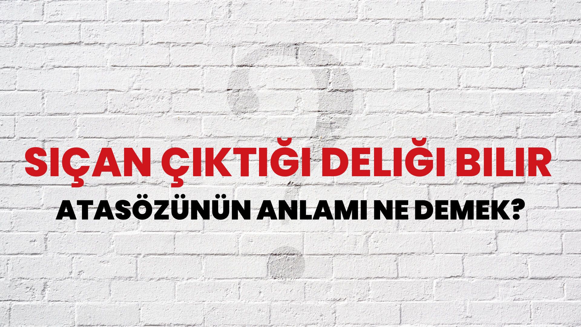 Sıçan çıktığı deliği bilir Atasözünün Anlamı Ne Demek?