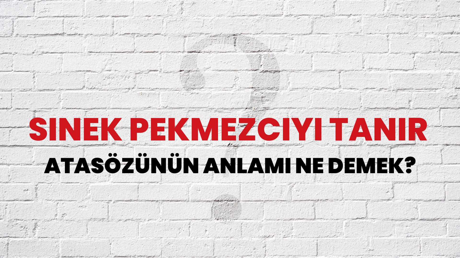 Sinek pekmezciyi tanır Atasözünün Anlamı Ne Demek?