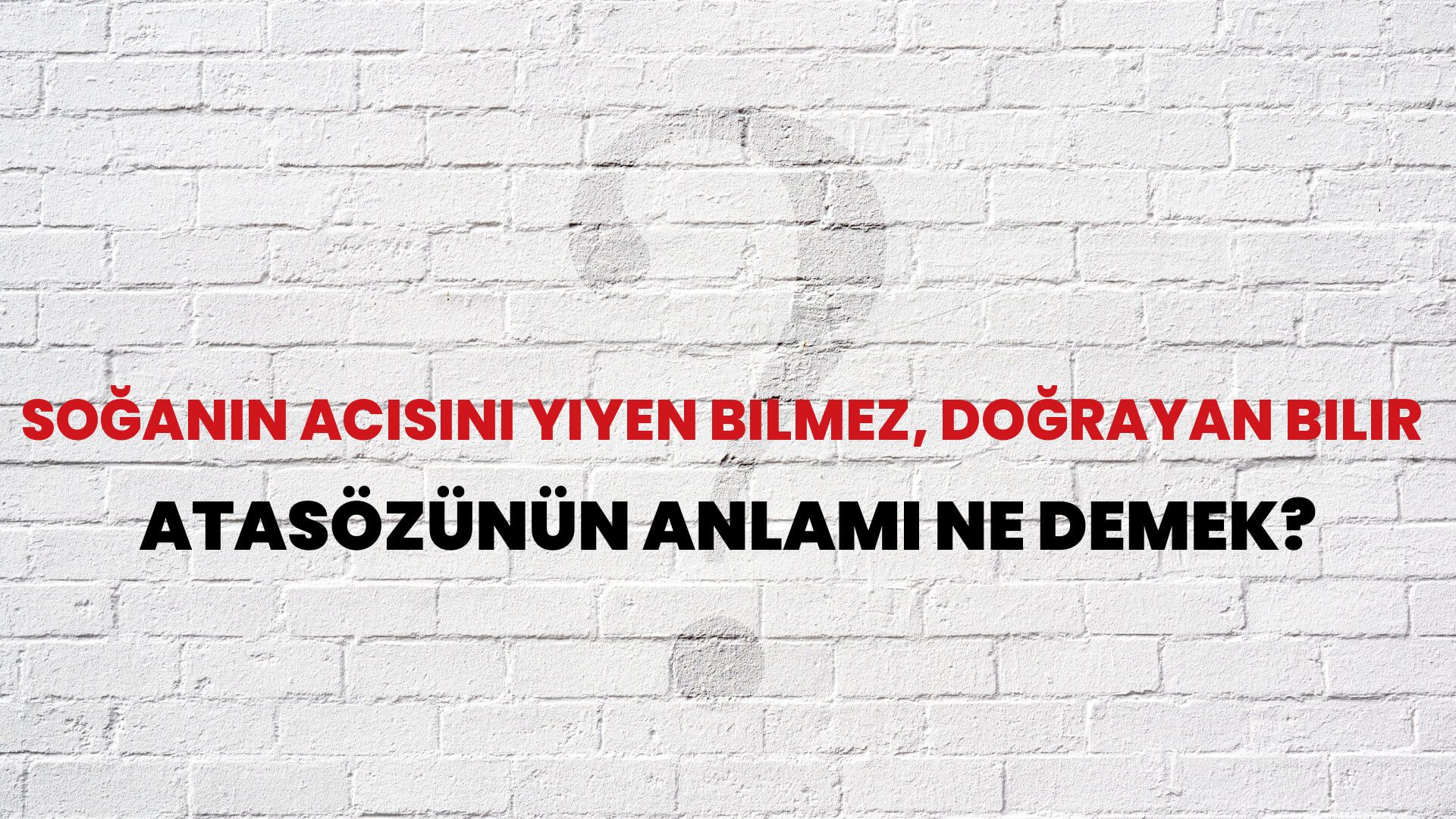 Soğanın acısını yiyen bilmez, doğrayan bilir Atasözünün Anlamı Ne Demek?