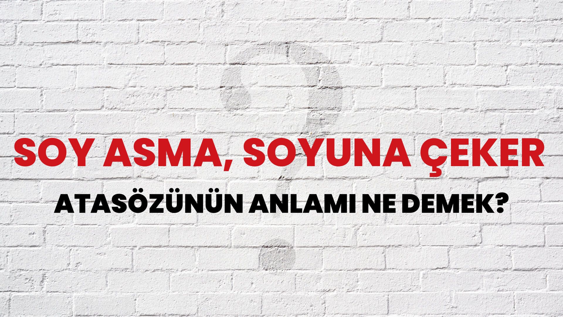 Soy asma, soyuna çeker Atasözünün Anlamı Ne Demek?