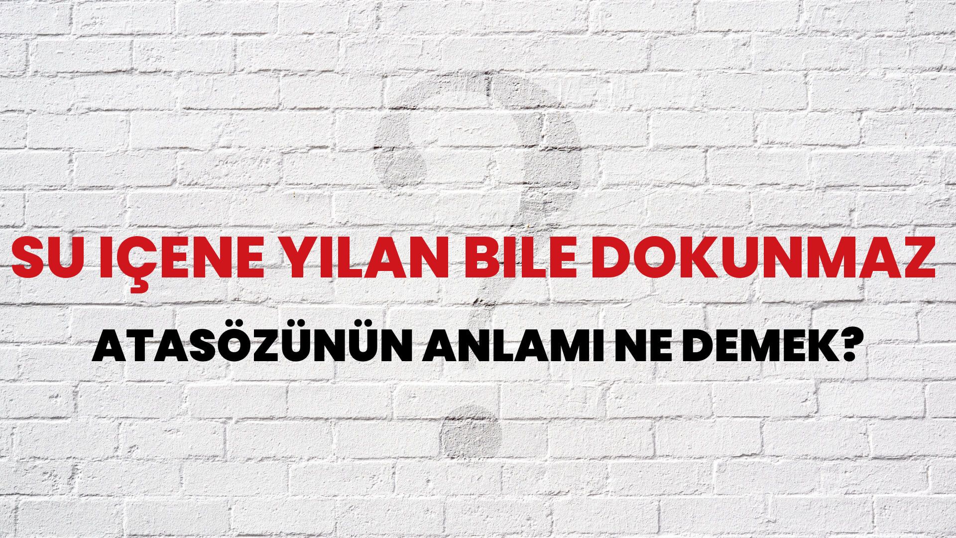 Su içene yılan bile dokunmaz Atasözünün Anlamı Ne Demek?