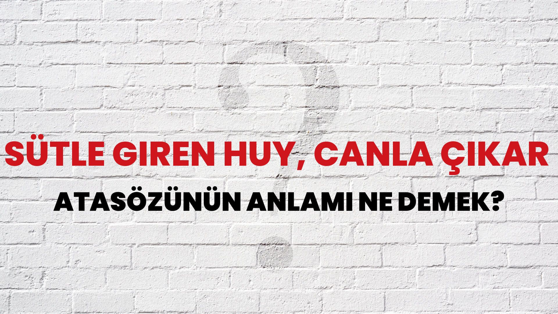 Sütle giren huy, canla çıkar Atasözünün Anlamı Ne Demek?