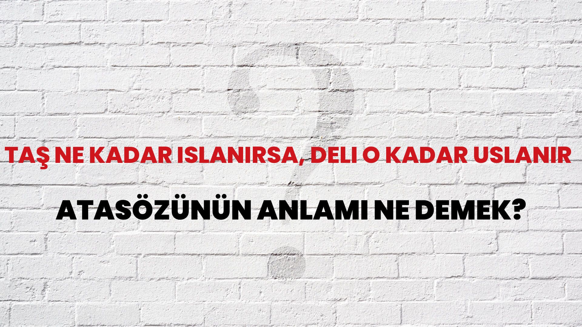 Taş ne kadar ıslanırsa, deli o kadar uslanır Atasözünün Anlamı Ne Demek?