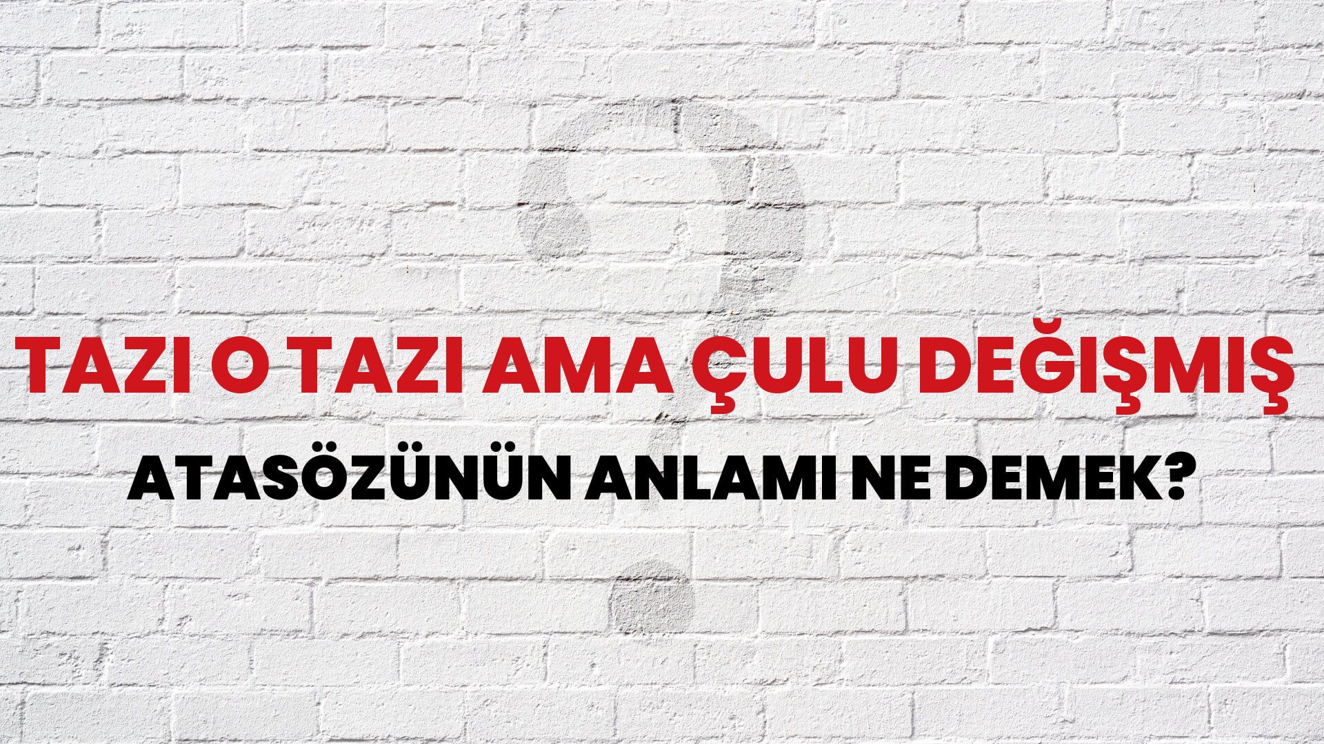 Tazı o tazı ama çulu değişmiş Atasözünün Anlamı Ne Demek?