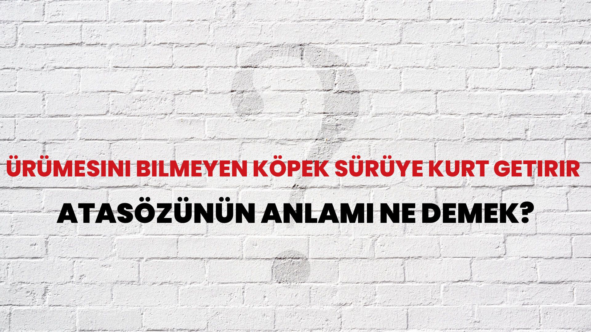 Ürümesini bilmeyen köpek sürüye kurt getirir Atasözünün Anlamı Ne Demek?