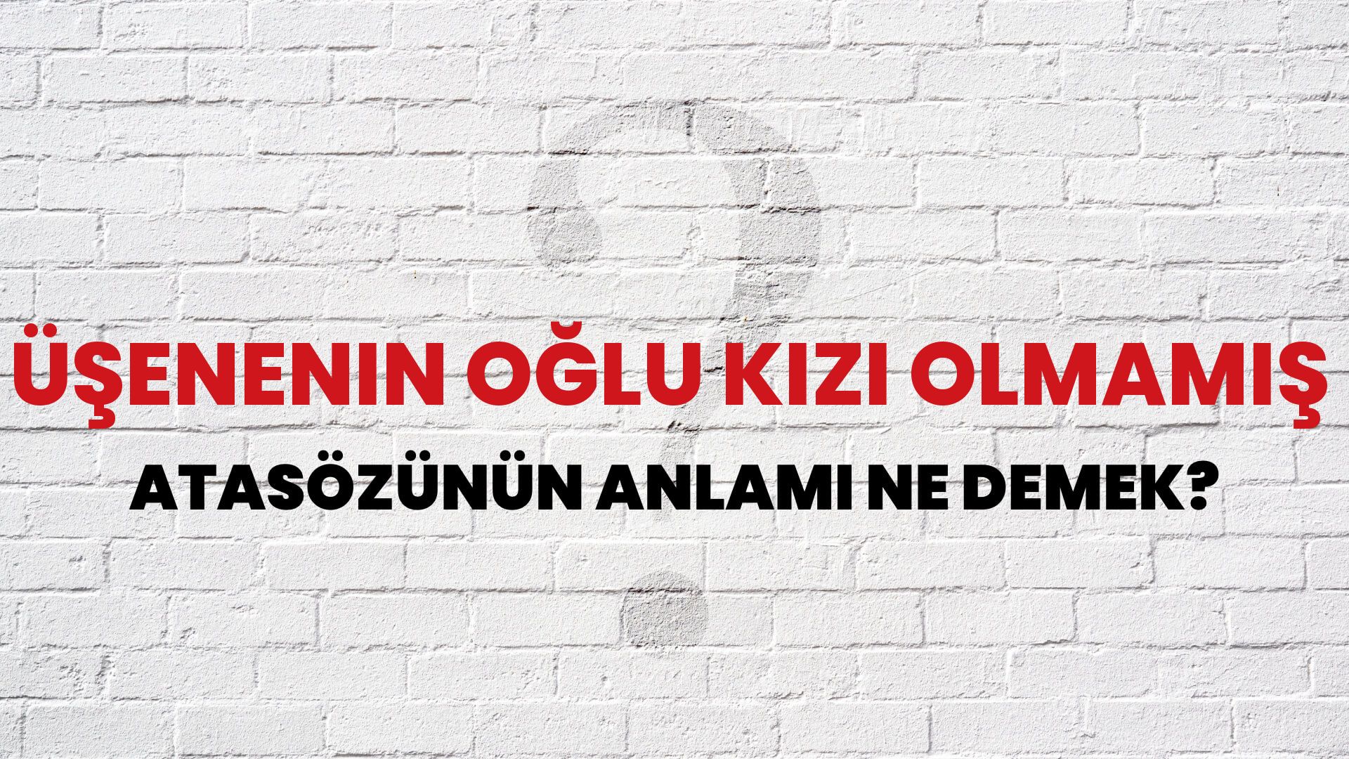 Üşenenin oğlu kızı olmamış Atasözünün Anlamı Ne Demek?