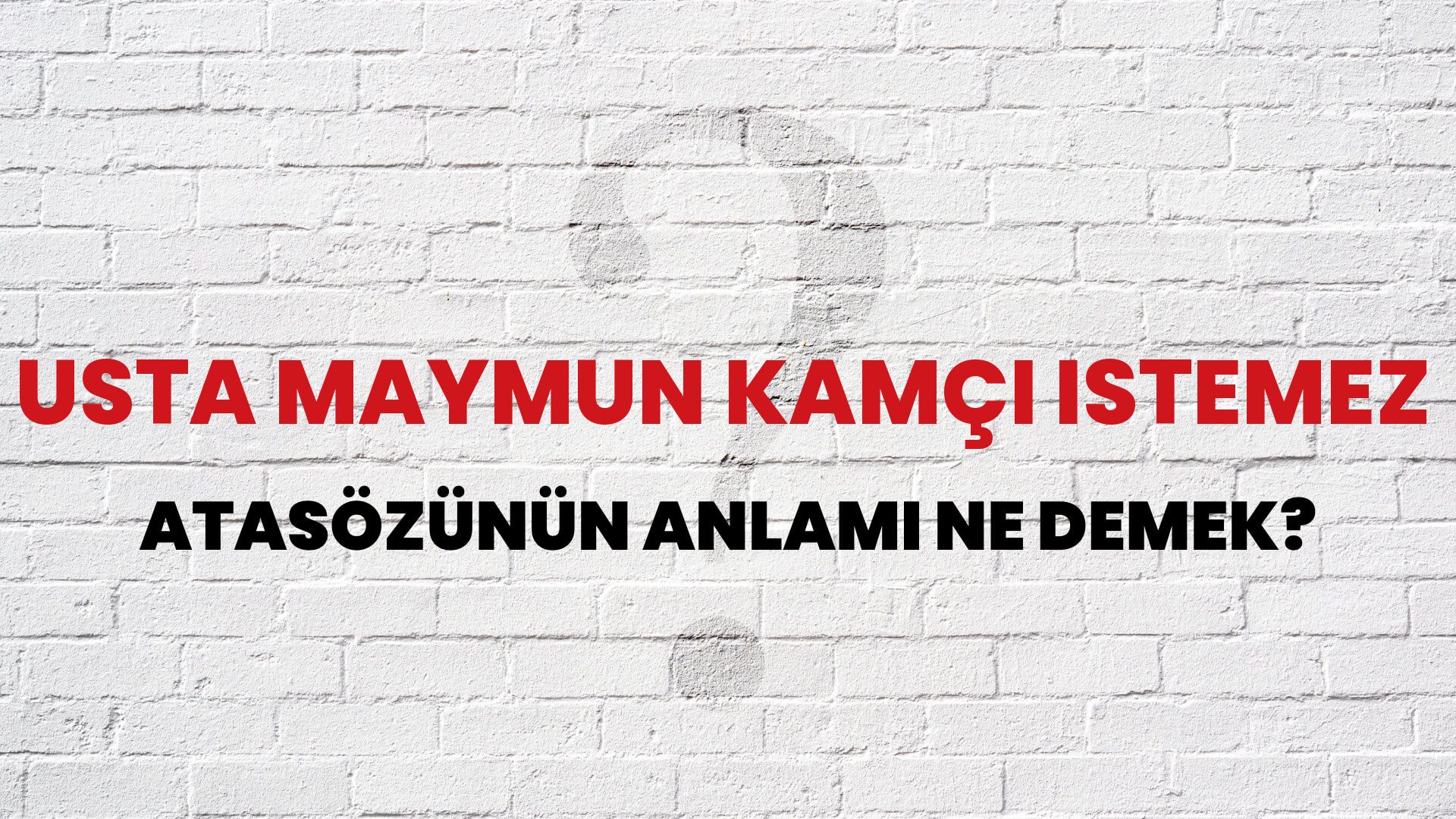 Usta maymun kamçı istemez Atasözünün Anlamı Ne Demek?
