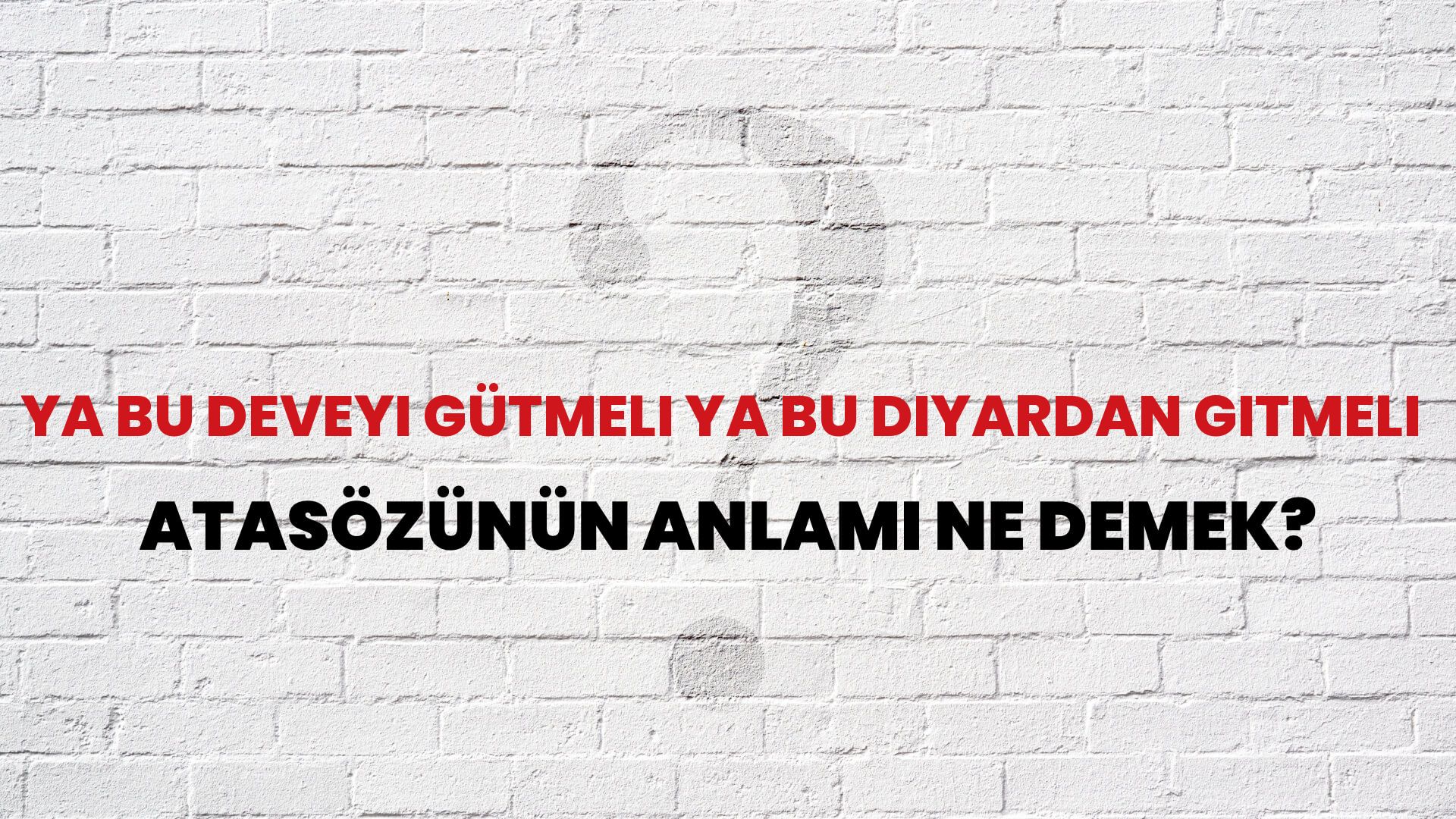 Ya bu deveyi gütmeli ya bu diyardan gitmeli Atasözünün Anlamı Ne Demek?