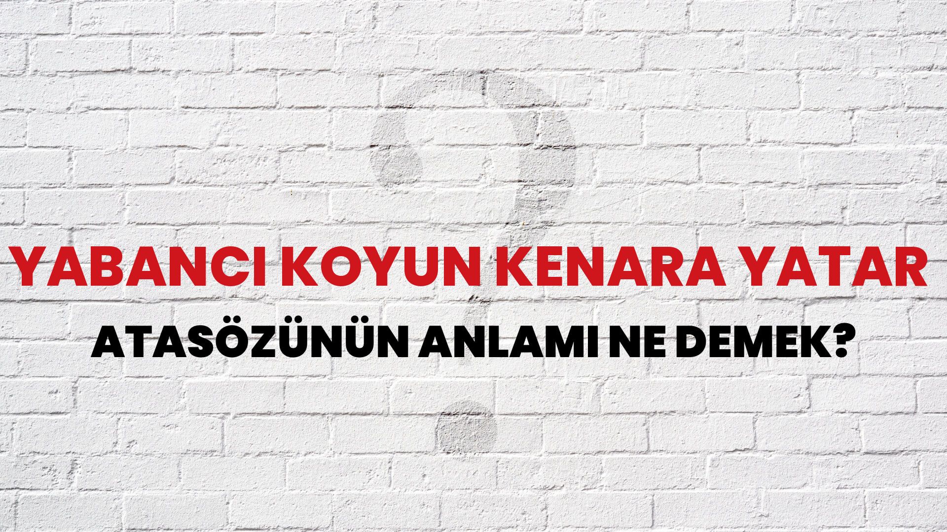 Yabancı koyun kenara yatar Atasözünün Anlamı Ne Demek?