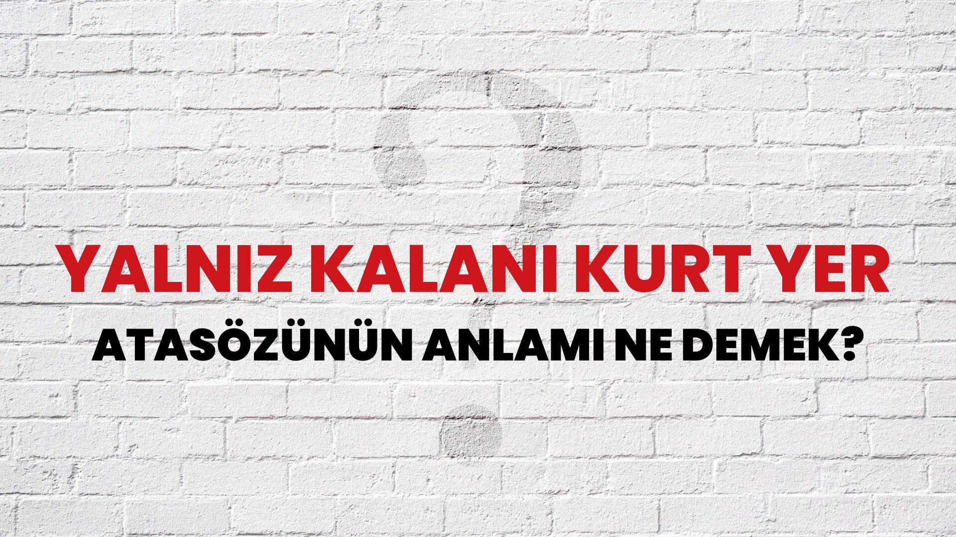 Yalnız kalanı kurt yer Atasözünün Anlamı Ne Demek?