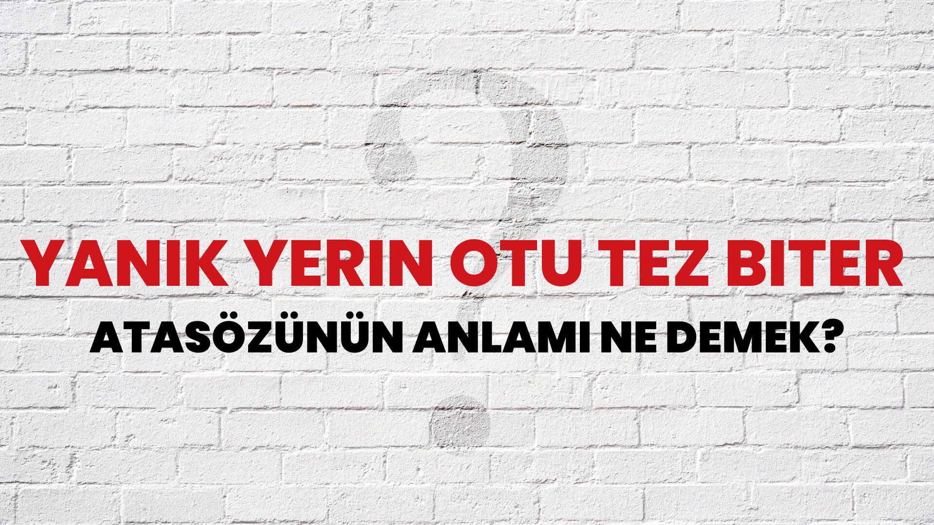 Yanık yerin otu tez biter Atasözünün Anlamı Ne Demek?