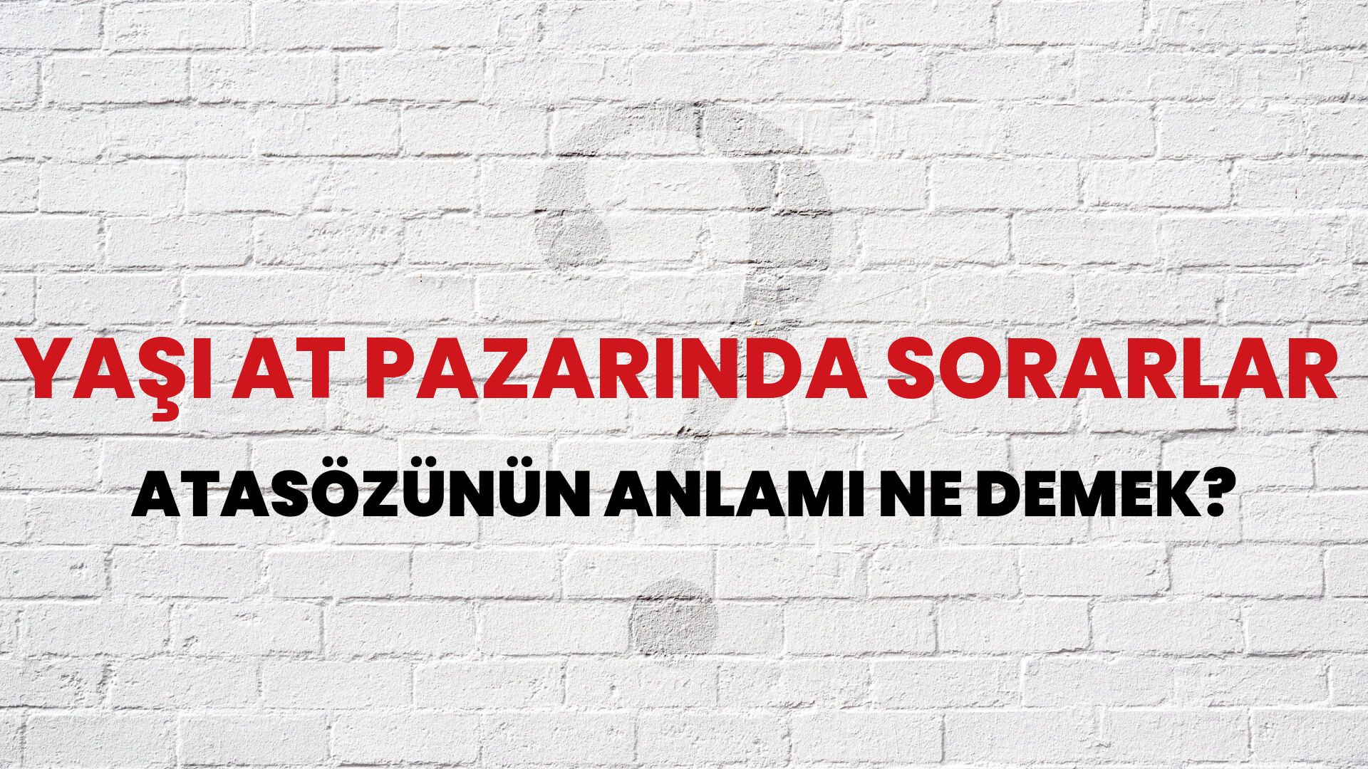 Yaşı at pazarında sorarlar Atasözünün Anlamı Ne Demek?