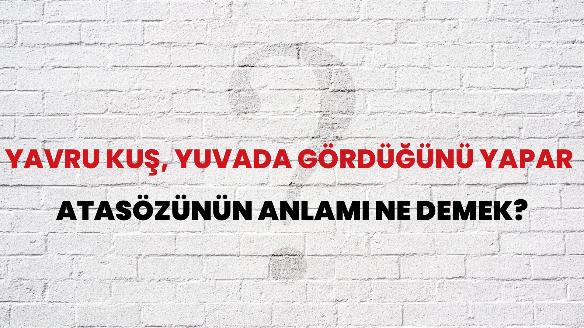 Yavru kuş, yuvada gördüğünü yapar Atasözünün Anlamı Ne Demek?