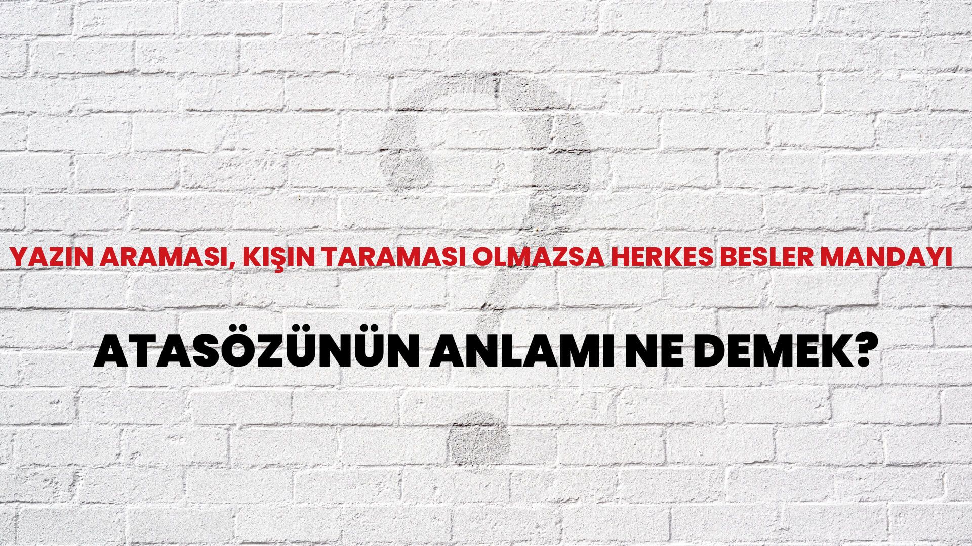 Yazın araması, kışın taraması olmazsa herkes besler mandayı Atasözünün Anlamı Ne Demek?