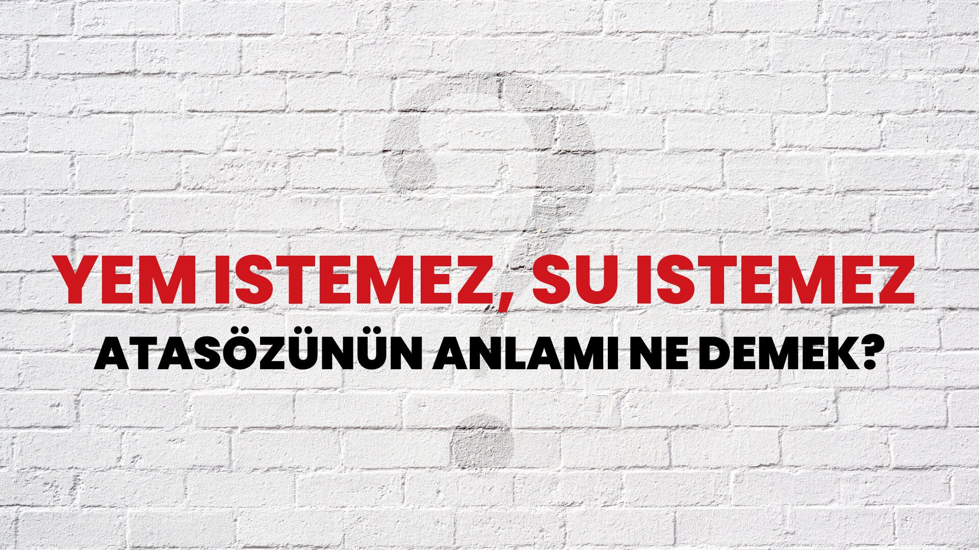 Yem istemez, su istemez Atasözünün Anlamı Ne Demek?