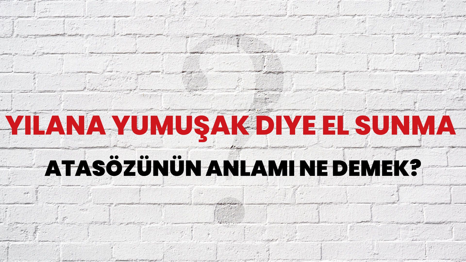 Yılana yumuşak diye el sunma Atasözünün Anlamı Ne Demek?