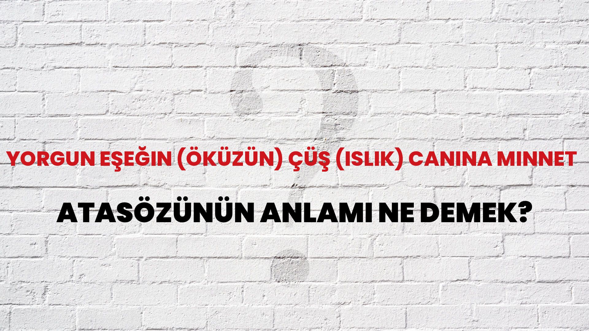 Yorgun eşeğin (öküzün) çüş (ıslık) canına minnet Atasözünün Anlamı Ne Demek?