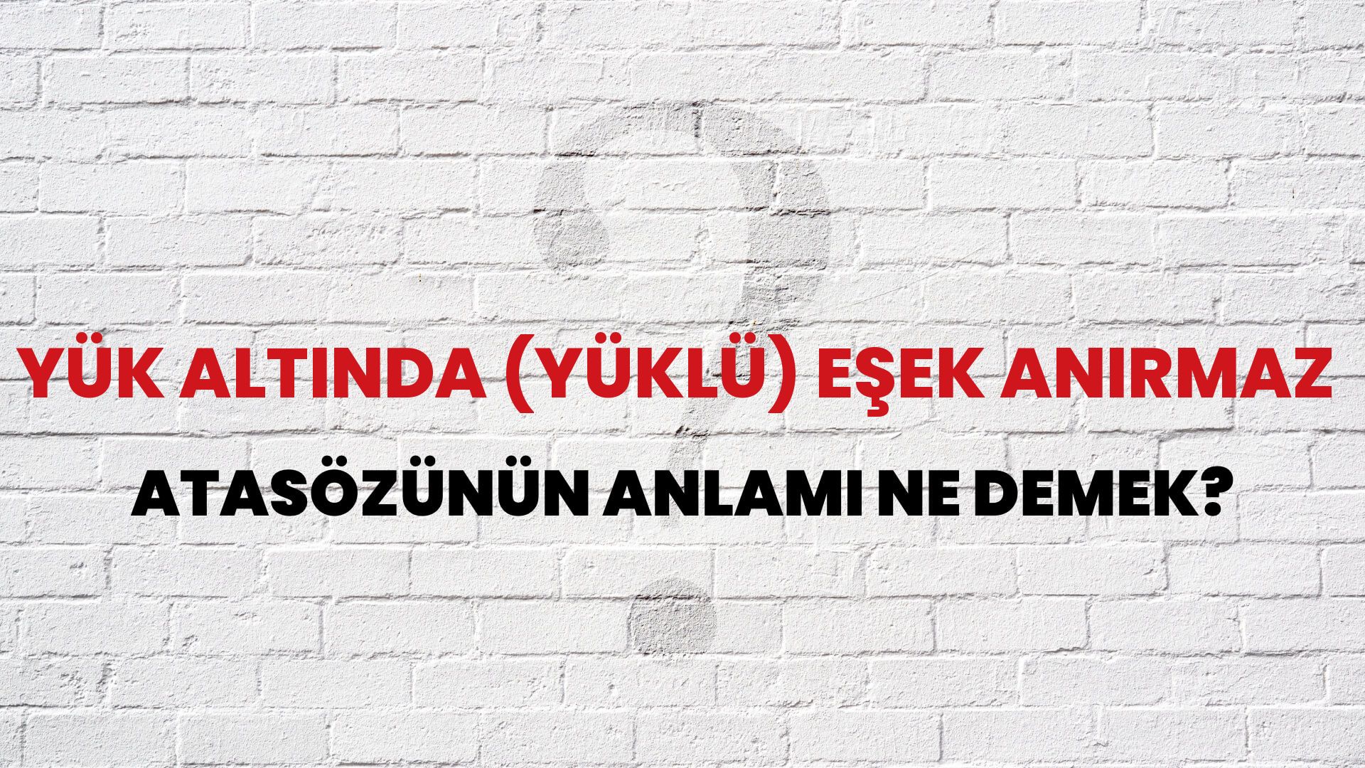Yük altında (yüklü) eşek anırmaz Atasözünün Anlamı Ne Demek?
