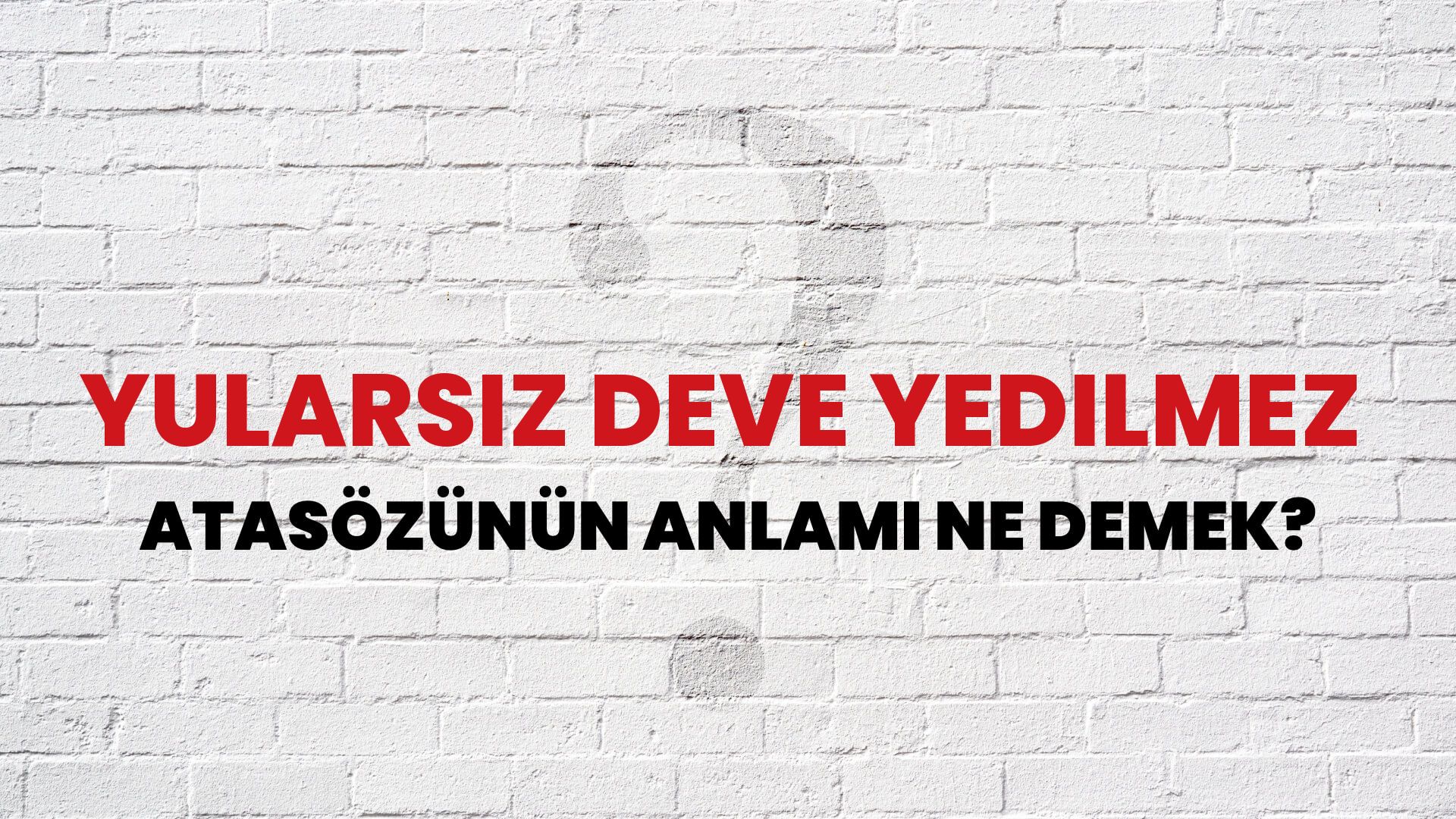 Yularsız deve yedilmez Atasözünün Anlamı Ne Demek?