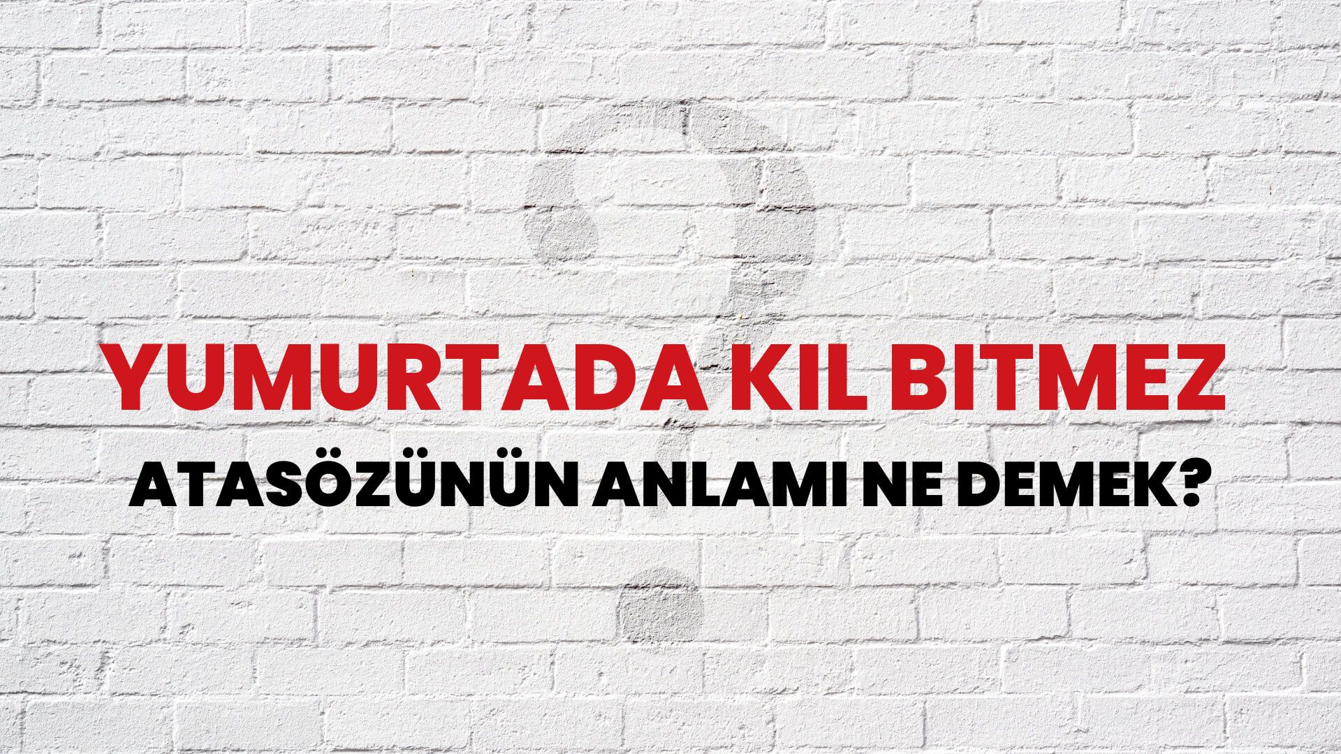 Yumurtada kıl bitmez Atasözünün Anlamı Ne Demek?