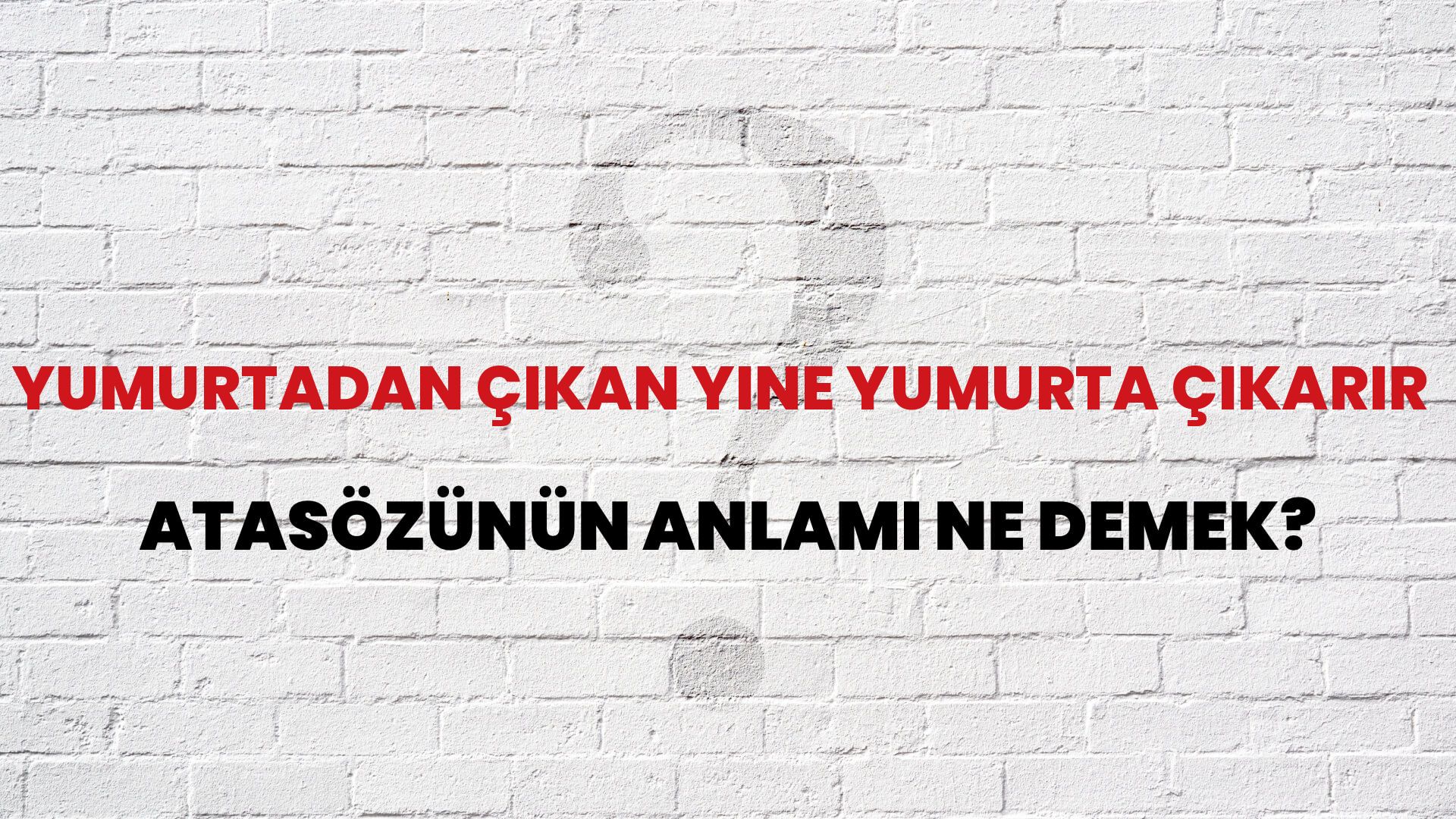 Yumurtadan çıkan yine yumurta çıkarır Atasözünün Anlamı Ne Demek?