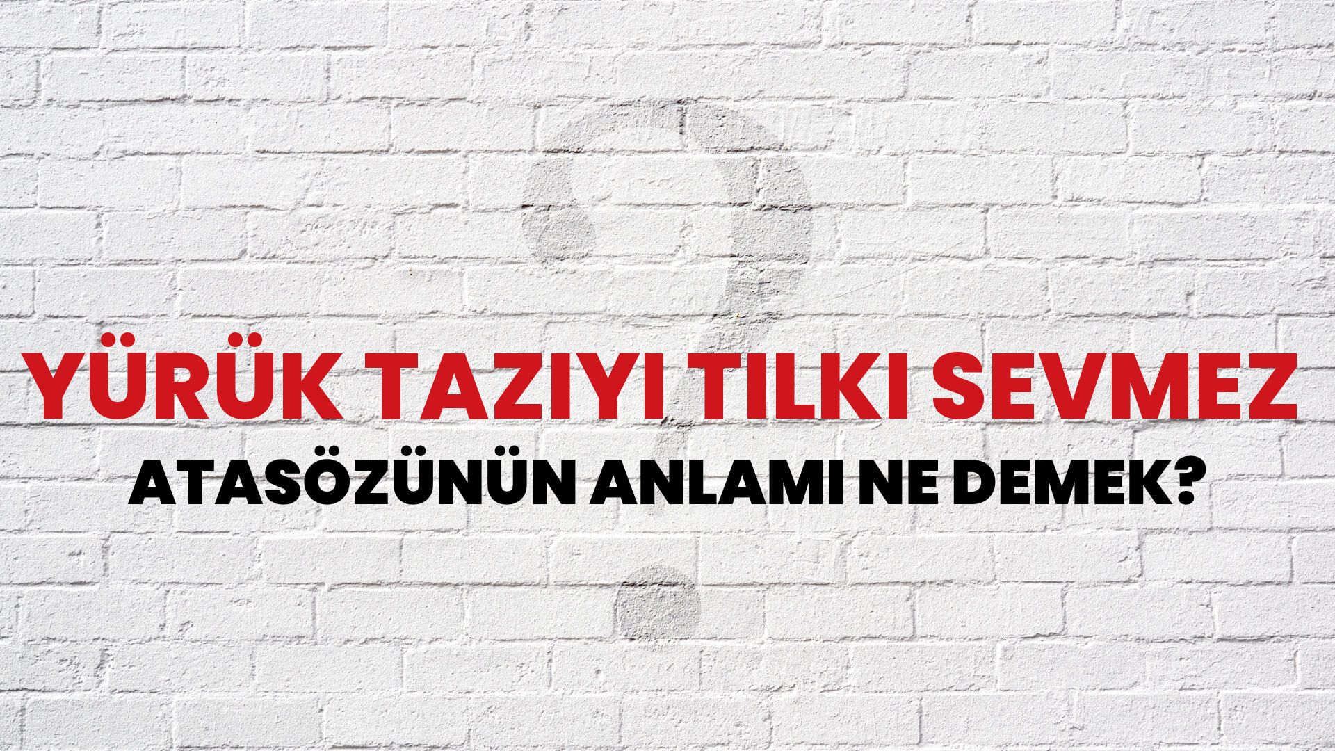 Yürük tazıyı tilki sevmez Atasözünün Anlamı Ne Demek?
