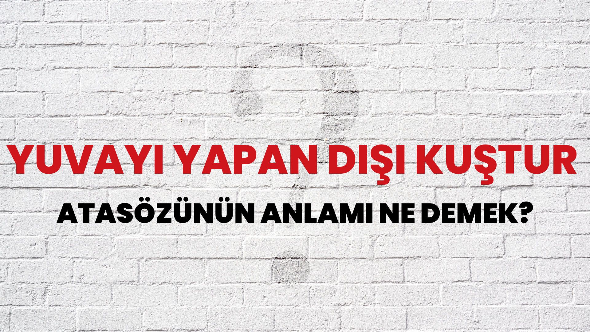 Yuvayı yapan dişi kuştur Atasözünün Anlamı Ne Demek?